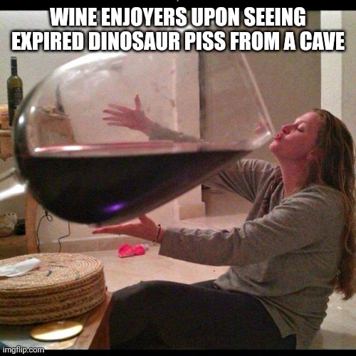 Wine Drinker | WINE ENJOYERS UPON SEEING EXPIRED DINOSAUR PISS FROM A CAVE | image tagged in wine drinker | made w/ Imgflip meme maker