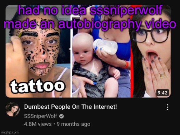 had no idea sssniperwolf made an autobiography video | image tagged in e | made w/ Imgflip meme maker