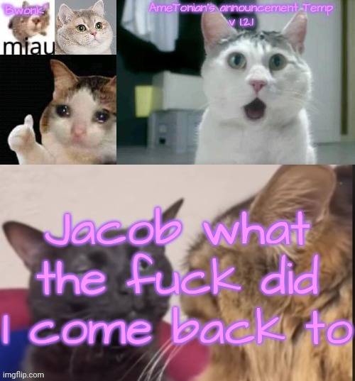 AmeTonian's announcement Temp v 1.2.1 | Jacob what the fuck did I come back to | image tagged in ametonian's announcement temp v 1 2 1 | made w/ Imgflip meme maker