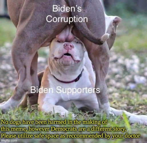 They just never notice | No dogs have been harmed in the making of this meme, however Democrats are a different story. Please utilize safe space as reccommended by your doctor | made w/ Imgflip meme maker