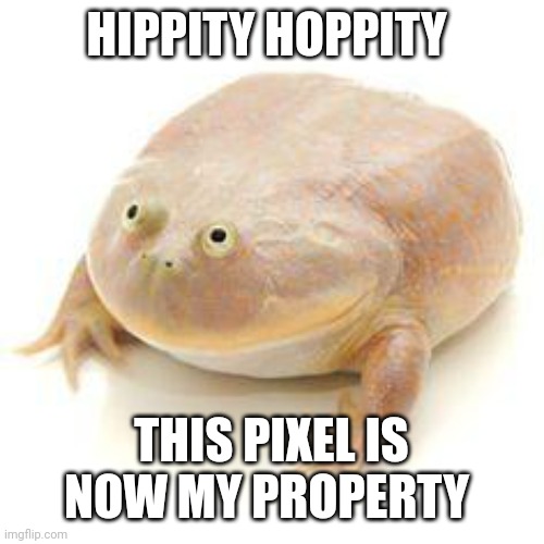 Wednesday Frog Blank | HIPPITY HOPPITY THIS PIXEL IS NOW MY PROPERTY | image tagged in wednesday frog blank | made w/ Imgflip meme maker