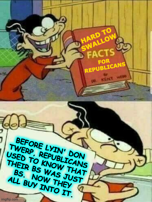 It's especially sad when you accuse liberals of all the things y'all are actually doing. | HARD TO
SWALLOW; FOR
REPUBLICANS; BEFORE LYIN' DON
TWERP, REPUBLICANS
USED TO KNOW THAT
THEIR BS WAS JUST
BS.  NOW THEY
ALL BUY INTO IT. | image tagged in double d facts book,memes,donald twerp,republicans | made w/ Imgflip meme maker