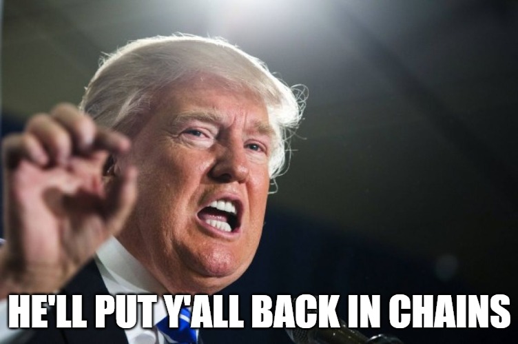 Racist things Donald Trump DIDN'T say. #2 | HE'LL PUT Y'ALL BACK IN CHAINS | image tagged in donald trump | made w/ Imgflip meme maker