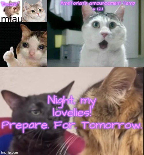 AmeTonian's announcement Temp v 1.2.1 | Night, my lovelies!
Prepare. For. Tomorrow. | image tagged in ametonian's announcement temp v 1 2 1 | made w/ Imgflip meme maker