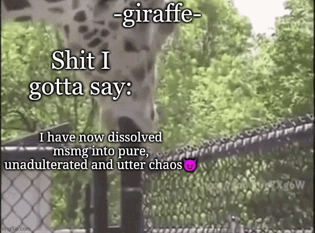 -giraffe- | I have now dissolved msmg into pure, unadulterated and utter chaos😈 | image tagged in -giraffe- | made w/ Imgflip meme maker