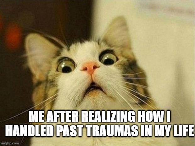 Scared Cat | ME AFTER REALIZING HOW I HANDLED PAST TRAUMAS IN MY LIFE | image tagged in memes,scared cat | made w/ Imgflip meme maker