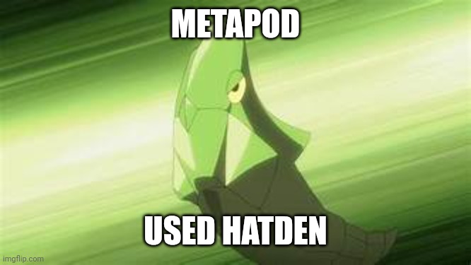 Metapod used harden | METAPOD USED HATDEN | image tagged in metapod used harden | made w/ Imgflip meme maker