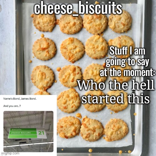 cheese_biscuits | Who the hell started this | image tagged in cheese_biscuits | made w/ Imgflip meme maker