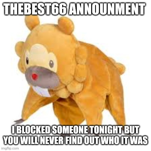 Please don't use | I BLOCKED SOMEONE TONIGHT BUT YOU WILL NEVER FIND OUT WHO IT WAS | image tagged in please don't use | made w/ Imgflip meme maker