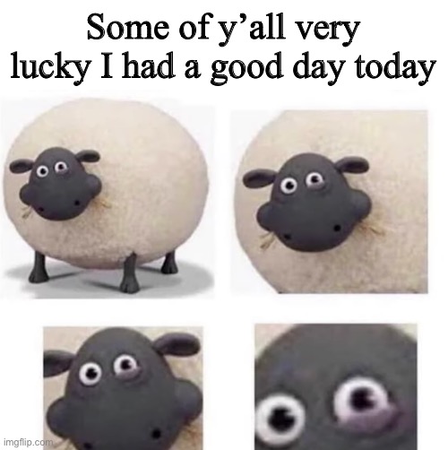 . | Some of y’all very lucky I had a good day today | image tagged in sheep with half closed eye | made w/ Imgflip meme maker