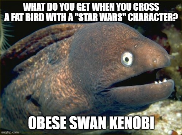 Does this joke work? Also, please don't cancel me for body-shaming. | WHAT DO YOU GET WHEN YOU CROSS A FAT BIRD WITH A "STAR WARS" CHARACTER? OBESE SWAN KENOBI | image tagged in memes,bad joke eel,birds,star wars,obi wan kenobi,so yeah | made w/ Imgflip meme maker