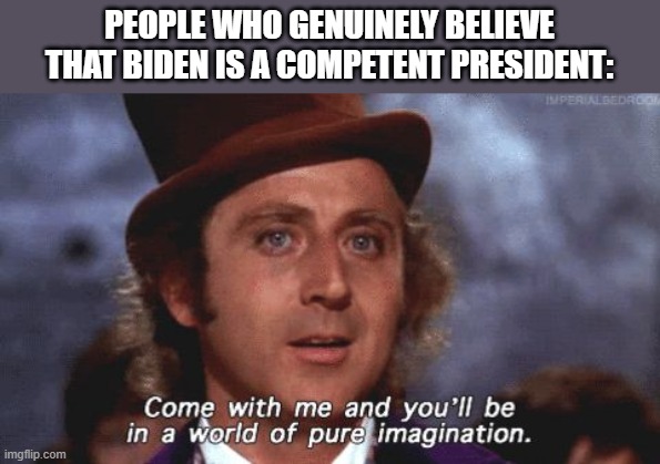 Tell that  to the 81 million people that voted for him, including the dead ones. LOL | PEOPLE WHO GENUINELY BELIEVE THAT BIDEN IS A COMPETENT PRESIDENT: | image tagged in willy wonka pure imagination,joe biden,democrats,voters | made w/ Imgflip meme maker