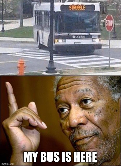 Struggle bus | MY BUS IS HERE | image tagged in this morgan freeman,bus,the struggle,the struggle is real | made w/ Imgflip meme maker