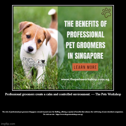 Professional groomers create a calm and controlled environment. — The Pets Workshop | The role of professional pet groomers Singapore extend | image tagged in funny,demotivationals | made w/ Imgflip demotivational maker