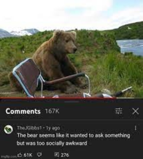poor bear | image tagged in memes,funny,insult,youtube | made w/ Imgflip meme maker