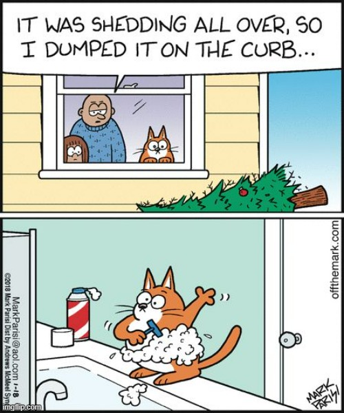 image tagged in memes,comics/cartoons,christmas tree,shed,cats,shave | made w/ Imgflip meme maker