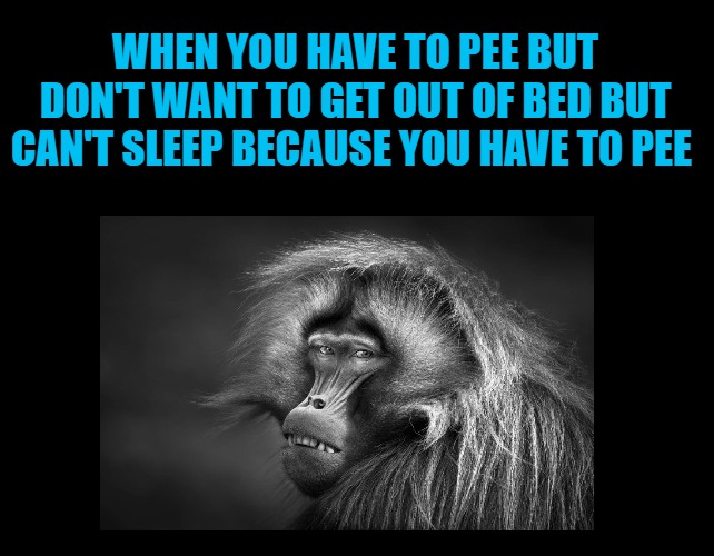 black screen | WHEN YOU HAVE TO PEE BUT DON'T WANT TO GET OUT OF BED BUT CAN'T SLEEP BECAUSE YOU HAVE TO PEE | image tagged in black screen | made w/ Imgflip meme maker