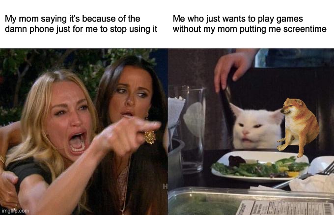 Woman Yelling At Cat | My mom saying it’s because of the damn phone just for me to stop using it; Me who just wants to play games without my mom putting me screentime | image tagged in memes,woman yelling at cat | made w/ Imgflip meme maker