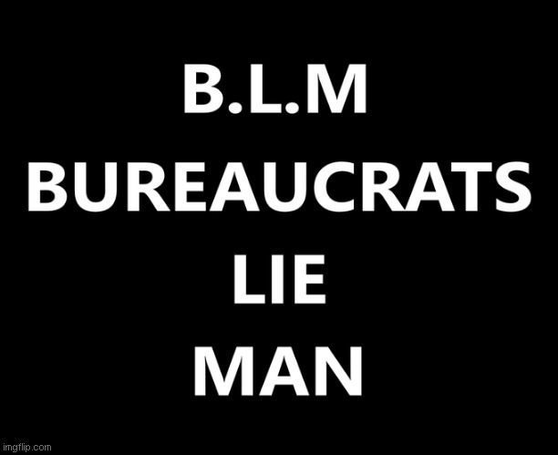 blm - bureaucrats lie man | image tagged in meme,funny memes | made w/ Imgflip meme maker