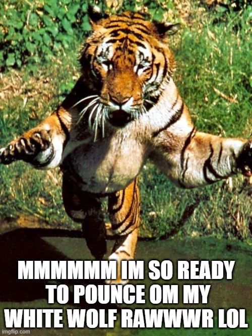 MMMMMM IM SO READY  TO POUNCE OM MY WHITE WOLF RAWWWR LOL | made w/ Imgflip meme maker