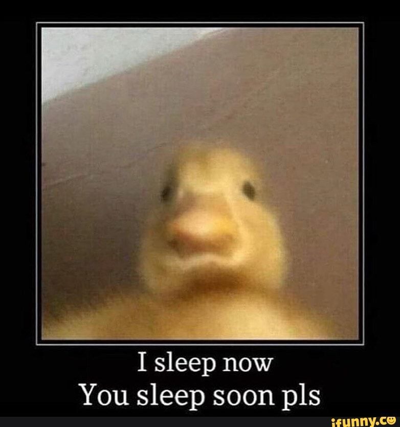 duck Blank Meme Template