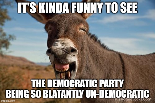 Laughing donkey | IT'S KINDA FUNNY TO SEE; THE DEMOCRATIC PARTY BEING SO BLATANTLY UN-DEMOCRATIC | image tagged in democrats,totalitarian,fascists | made w/ Imgflip meme maker