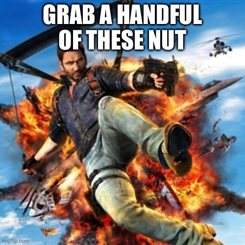 Just Cause  | GRAB A HANDFUL OF THESE NUT | image tagged in just cause,meme,memes,funny,deez nuts,game | made w/ Imgflip meme maker