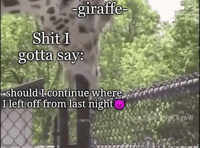 -giraffe- | should I continue where I left off from last night😈 | image tagged in -giraffe- | made w/ Imgflip meme maker