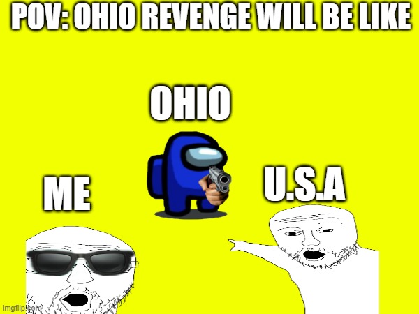 Ohio meme box | POV: OHIO REVENGE WILL BE LIKE; OHIO; U.S.A; ME | image tagged in ohio | made w/ Imgflip meme maker