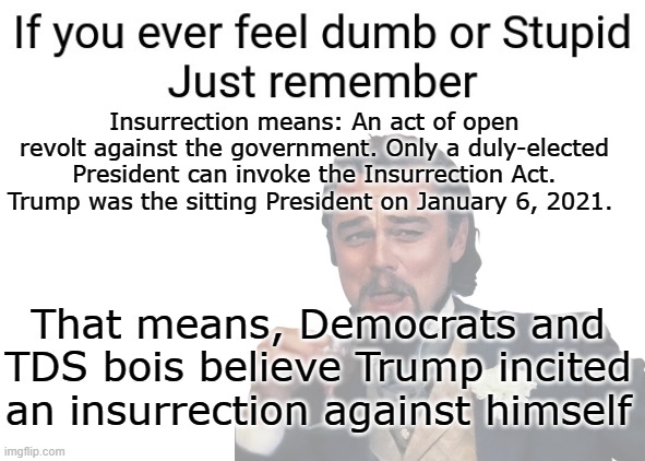Dumb n Stupid | Insurrection means: An act of open revolt against the government. Only a duly-elected President can invoke the Insurrection Act. Trump was the sitting President on January 6, 2021. That means, Democrats and TDS bois believe Trump incited an insurrection against himself | image tagged in laughing | made w/ Imgflip meme maker