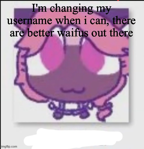 Mittens Wichien announcement temp | I'm changing my username when i can, there are better waifus out there | image tagged in mittens wichien announcement temp | made w/ Imgflip meme maker
