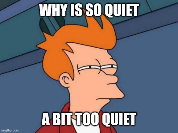 Most quiet day | WHY IS SO QUIET; A BIT TOO QUIET | image tagged in memes,futurama fry | made w/ Imgflip meme maker