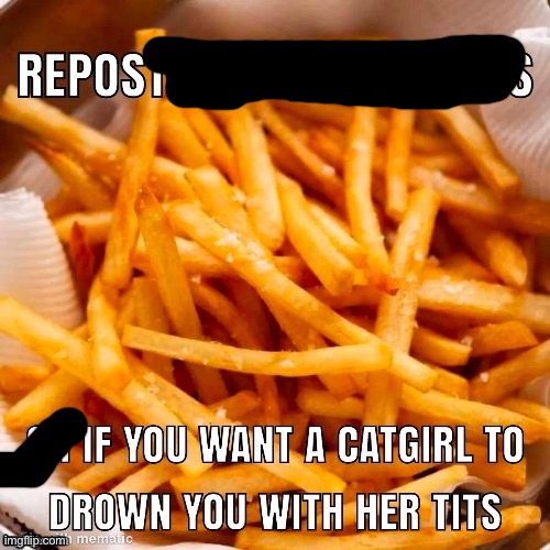 Repost is you love fries | image tagged in repost is you love fries | made w/ Imgflip meme maker