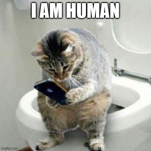 meme by Brad cat on toilet with phone | I AM HUMAN | image tagged in cats,cat meme,funny cat memes | made w/ Imgflip meme maker