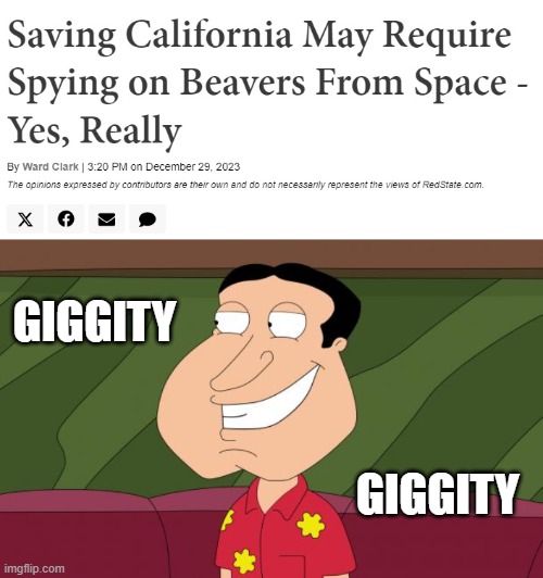 Taxpayer Funds at Work | GIGGITY; GIGGITY | image tagged in dirty quagmire,calif,leftist,liberals | made w/ Imgflip meme maker