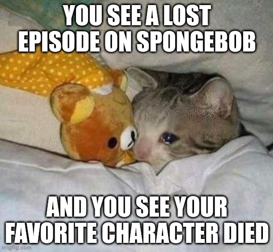 Crying cat | YOU SEE A LOST EPISODE ON SPONGEBOB; AND YOU SEE YOUR FAVORITE CHARACTER DIED | image tagged in approved crying cat | made w/ Imgflip meme maker