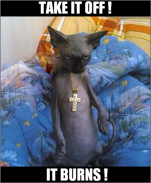 One Possessed Cat ! | TAKE IT OFF ! IT BURNS ! | image tagged in cats,possessed,crucifix,burn | made w/ Imgflip meme maker