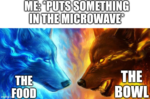 Why does this happen ?? | ME: *PUTS SOMETHING IN THE MICROWAVE*; THE FOOD; THE BOWL | image tagged in ice and fire,microwave | made w/ Imgflip meme maker
