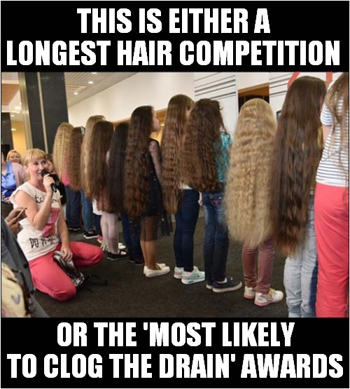 You Decide | THIS IS EITHER A LONGEST HAIR COMPETITION; OR THE 'MOST LIKELY TO CLOG THE DRAIN' AWARDS | image tagged in you decide,hair,longest,clogging | made w/ Imgflip meme maker