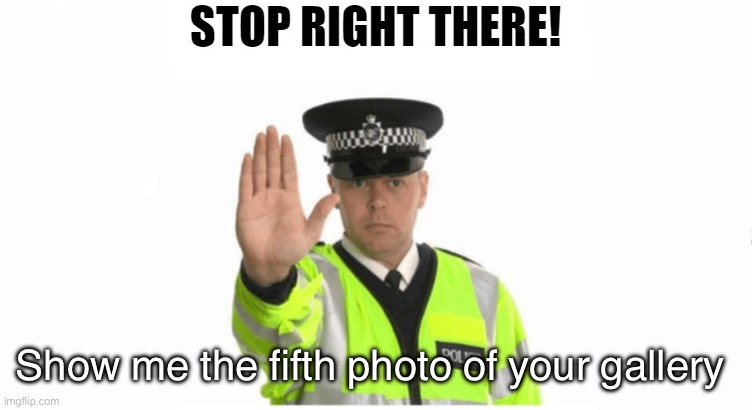 This Is A Hentai Checkpoint | Show me the fifth photo of your gallery | image tagged in this is a hentai checkpoint | made w/ Imgflip meme maker