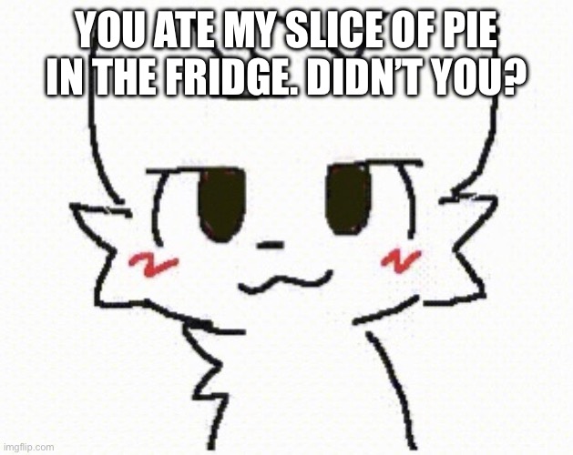 you like kissing boys | YOU ATE MY SLICE OF PIE IN THE FRIDGE. DIDN’T YOU? | image tagged in you like kissing boys | made w/ Imgflip meme maker