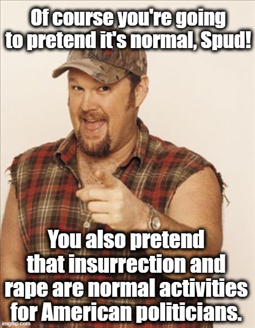 Larry The Cable Guy | Of course you're going to pretend it's normal, Spud! You also pretend that insurrection and rape are normal activities for American politici | image tagged in larry the cable guy | made w/ Imgflip meme maker