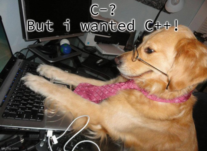 Doges at computer school | C-?
But i wanted C++! | image tagged in dog at the computer,doge,computer,school | made w/ Imgflip meme maker