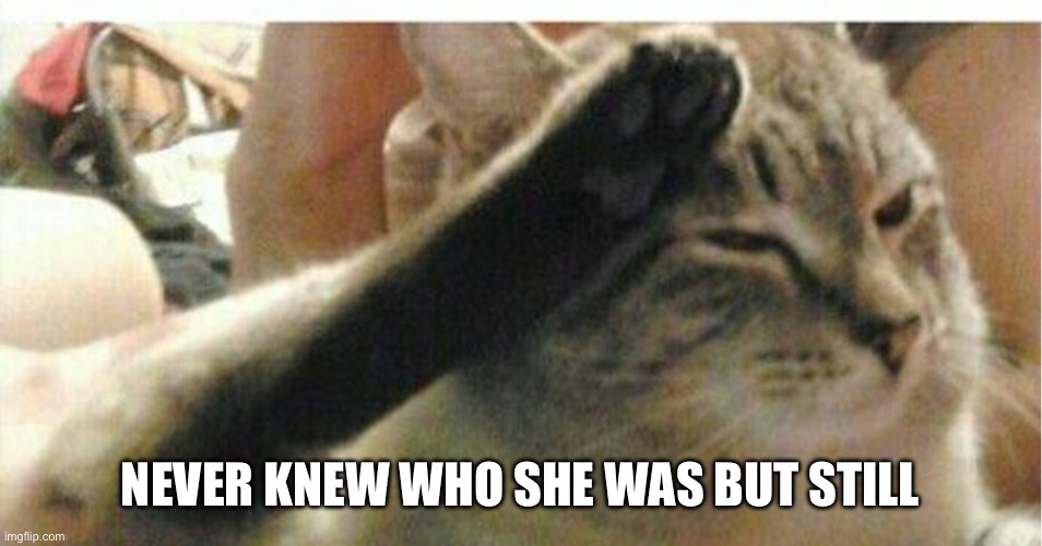 Cat of Honor | NEVER KNEW WHO SHE WAS BUT STILL | image tagged in cat of honor | made w/ Imgflip meme maker