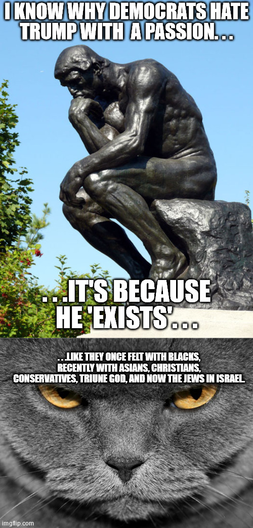 Explains a lot. | I KNOW WHY DEMOCRATS HATE TRUMP WITH  A PASSION. . . . . .IT'S BECAUSE HE 'EXISTS'. . . . . .LIKE THEY ONCE FELT WITH BLACKS, RECENTLY WITH ASIANS, CHRISTIANS, CONSERVATIVES, TRIUNE GOD, AND NOW THE JEWS IN ISRAEL. | image tagged in the thinker,grumpy graey cat,politics,democrats | made w/ Imgflip meme maker