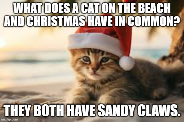 meme by Brad cat, Santa Claus, Christmas | WHAT DOES A CAT ON THE BEACH AND CHRISTMAS HAVE IN COMMON? THEY BOTH HAVE SANDY CLAWS. | image tagged in cats,cat,cat memes,cat meme | made w/ Imgflip meme maker