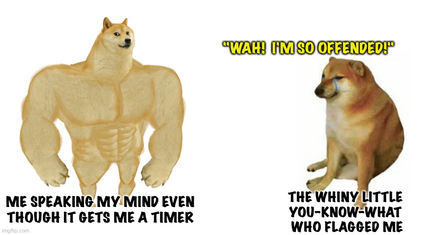 Buff and Cheem | "WAH!  I'M SO OFFENDED!"; ME SPEAKING MY MIND EVEN THOUGH IT GETS ME A TIMER; THE WHINY LITTLE 
YOU-KNOW-WHAT 
WHO FLAGGED ME | image tagged in buff doge vs crying cheems | made w/ Imgflip meme maker