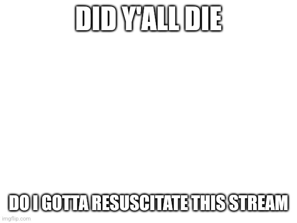 Wake up | DID Y'ALL DIE; DO I GOTTA RESUSCITATE THIS STREAM | image tagged in wake the actual fuck up,wait,how many tags can i have,fourr,five,aw six is it | made w/ Imgflip meme maker