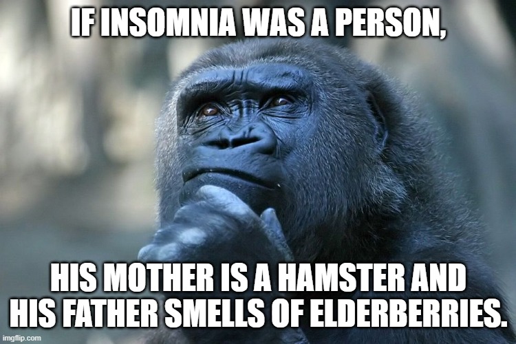 Contemplate | IF INSOMNIA WAS A PERSON, HIS MOTHER IS A HAMSTER AND HIS FATHER SMELLS OF ELDERBERRIES. | image tagged in contemplate | made w/ Imgflip meme maker