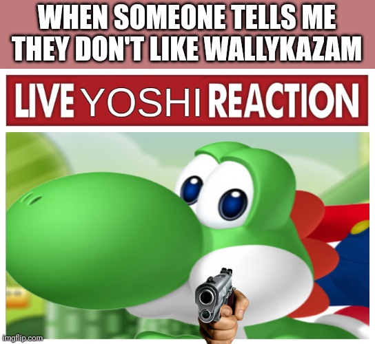 Live Yoshi Reaction | WHEN SOMEONE TELLS ME THEY DON'T LIKE WALLYKAZAM | image tagged in live yoshi reaction | made w/ Imgflip meme maker